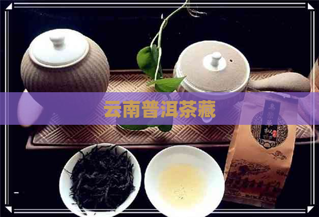 云南普洱茶藏