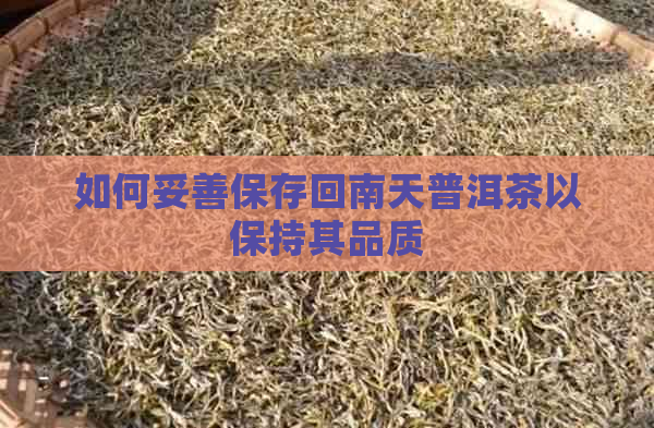 如何妥善保存回南天普洱茶以保持其品质