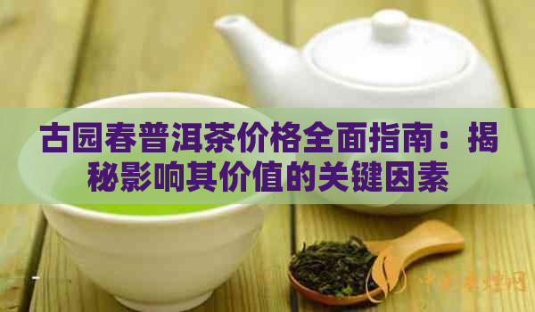 古园春普洱茶价格全面指南：揭秘影响其价值的关键因素