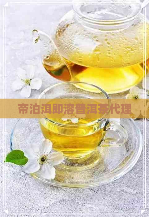 帝泊洱即溶普洱茶代理