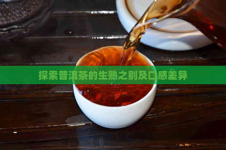 探索普洱茶的生熟之别及口感差异