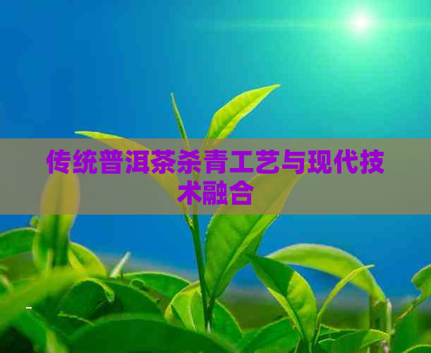 传统普洱茶杀青工艺与现代技术融合