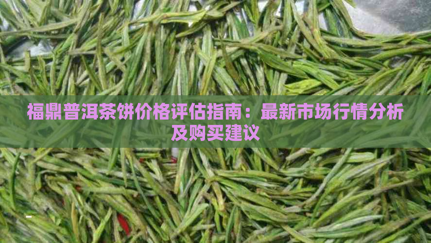 福鼎普洱茶饼价格评估指南：最新市场行情分析及购买建议