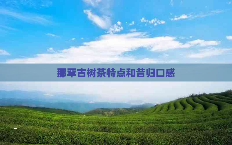 那罕古树茶特点和昔归口感