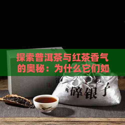 探索普洱茶与红茶香气的奥秘：为什么它们如此馥迷人