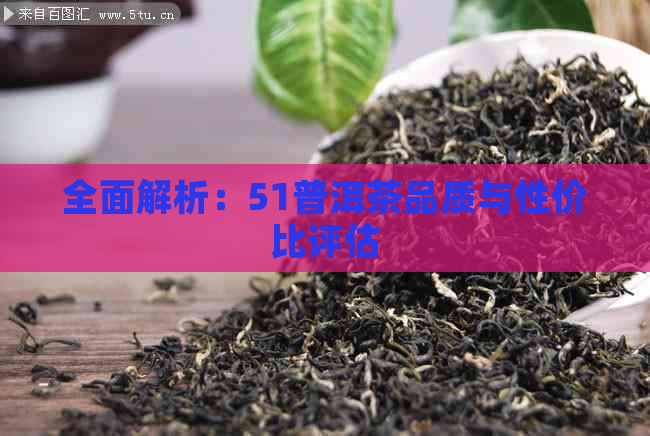 全面解析：51普洱茶品质与性价比评估