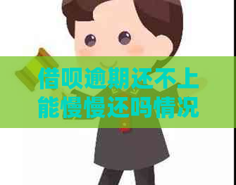 借呗逾期还不上能慢慢还吗情况及应对措