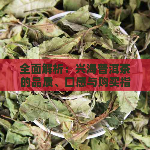 全面解析：兴海普洱茶的品质、口感与购买指南