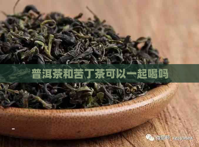 普洱茶和苦丁茶可以一起喝吗