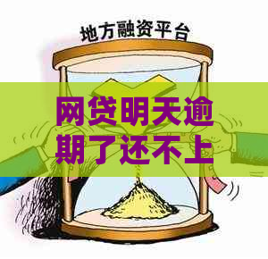 网贷明天逾期了还不上咋办可以采取哪些措