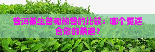 普洱茶生普和熟普的比较：哪个更适合您的茶道？