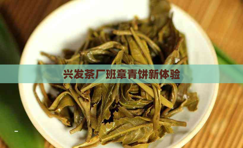 兴发茶厂班章青饼新体验