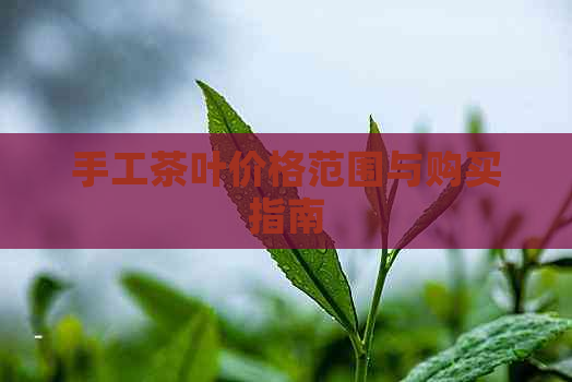 手工茶叶价格范围与购买指南