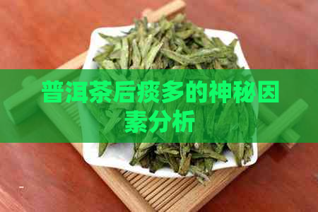 普洱茶后痰多的神秘因素分析