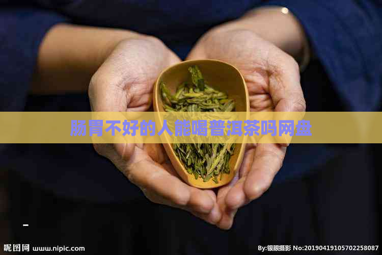 肠胃不好的人能喝普洱茶吗网盘