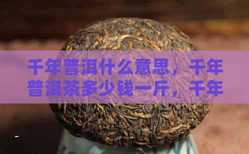 千年普洱什么意思，千年普洱茶多少钱一斤，千年普洱古树茶功效和作用