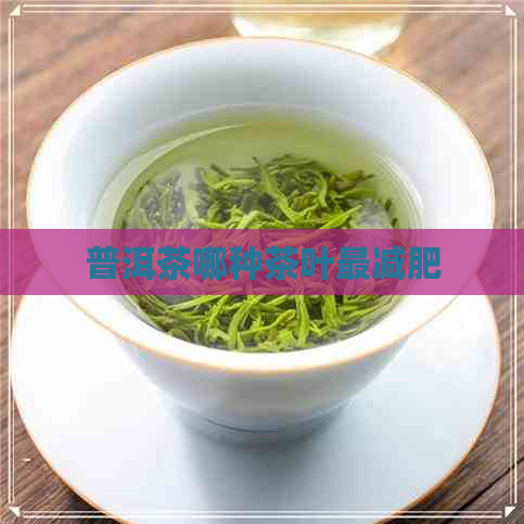 普洱茶哪种茶叶最减肥