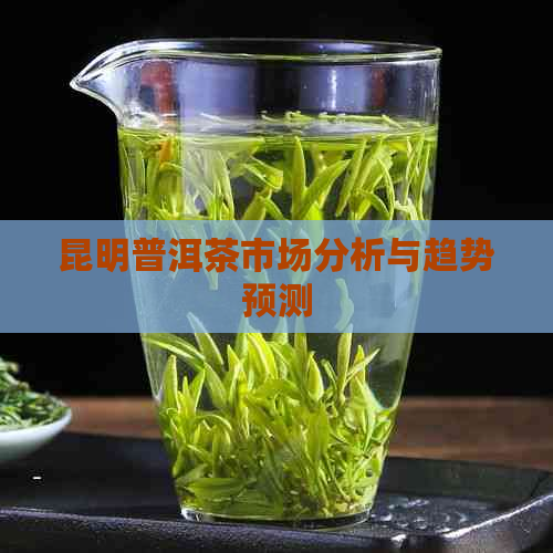 昆明普洱茶市场分析与趋势预测