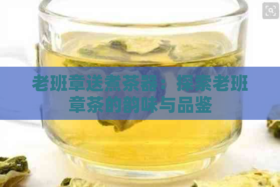 老班章送煮茶器：探索老班章茶的韵味与品鉴