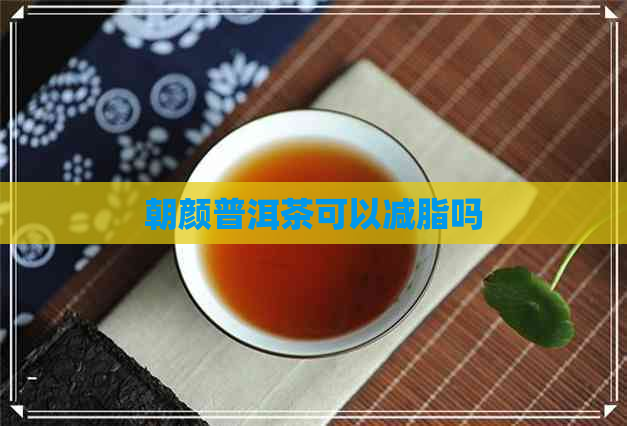 朝颜普洱茶可以减脂吗