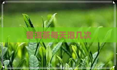 普洱茶每天泡几次