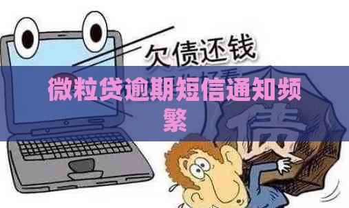 微立贷逾期短信通知频繁