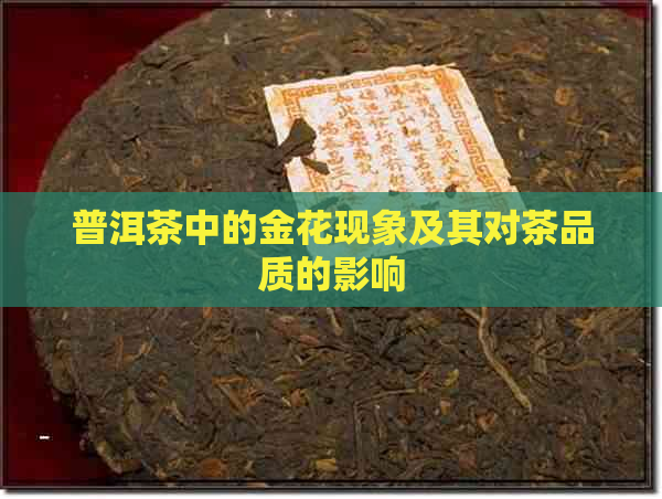 普洱茶中的金花现象及其对茶品质的影响