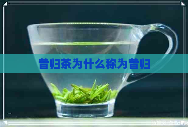 昔归茶为什么称为昔归