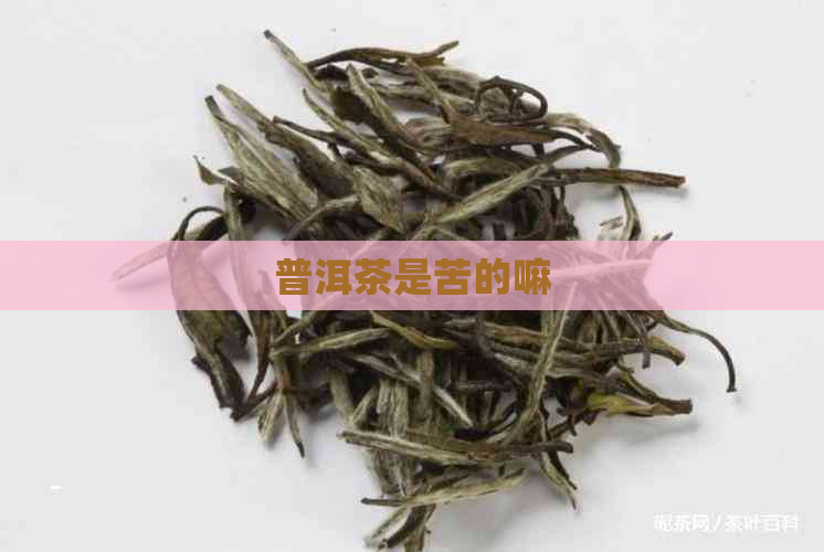 普洱茶是苦的嘛