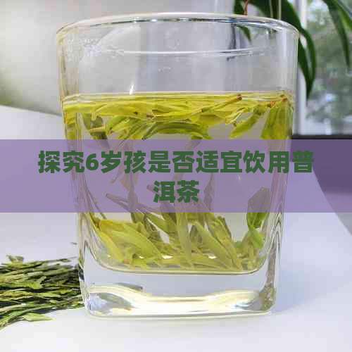 探究6岁孩是否适宜饮用普洱茶