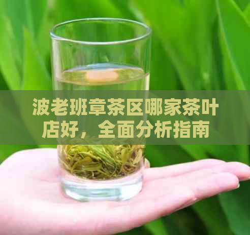 波老班章茶区哪家茶叶店好，全面分析指南