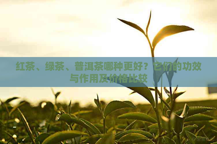 红茶、绿茶、普洱茶哪种更好？它们的功效与作用及价格比较