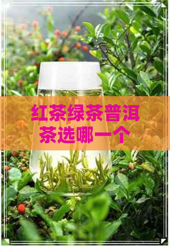 红茶绿茶普洱茶选哪一个