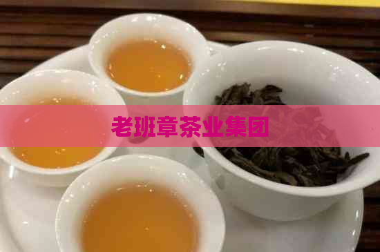 老班章茶业集团