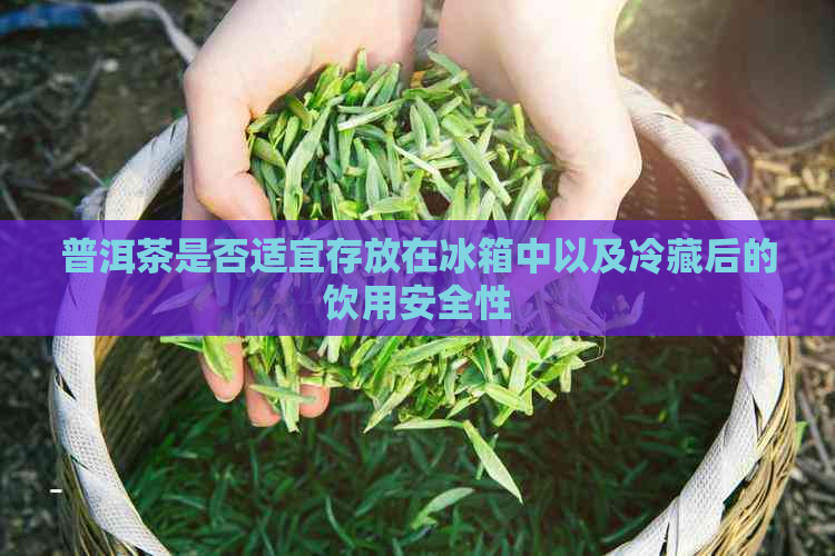 普洱茶是否适宜存放在冰箱中以及冷藏后的饮用安全性