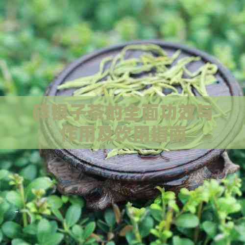 碎银子茶的全面功效与作用及饮用指南