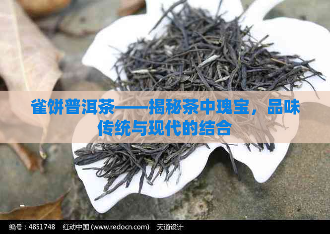 雀饼普洱茶——揭秘茶中瑰宝，品味传统与现代的结合