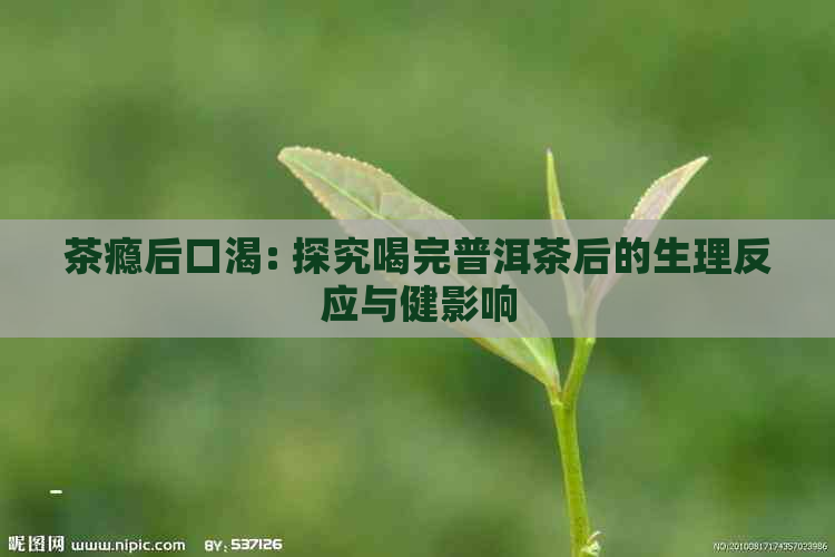 茶瘾后口渴: 探究喝完普洱茶后的生理反应与健影响