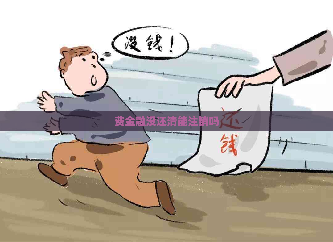 费金融没还清能注销吗