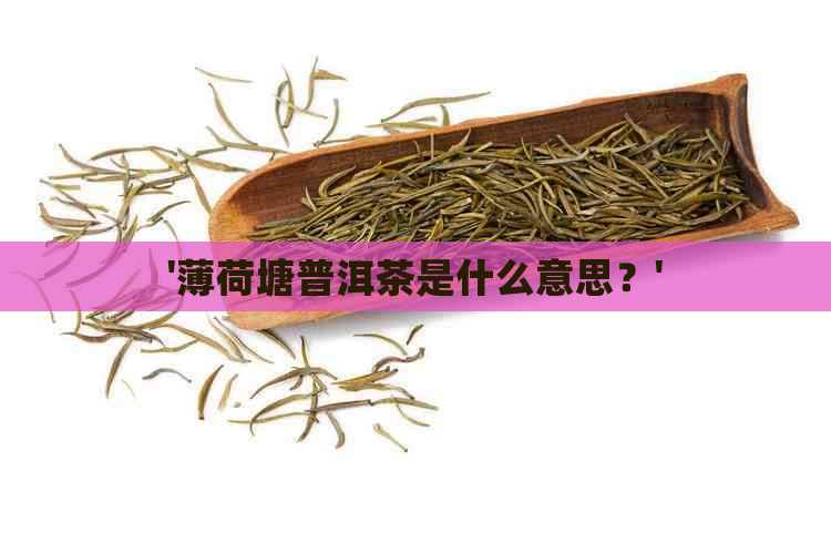 '薄荷塘普洱茶是什么意思？'