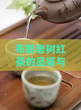 布朗老树红茶的品鉴与鉴