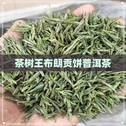 茶树王布朗贡饼普洱茶