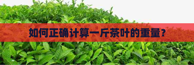 如何正确计算一斤茶叶的重量？