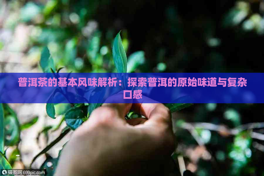 普洱茶的基本风味解析：探索普洱的原始味道与复杂口感