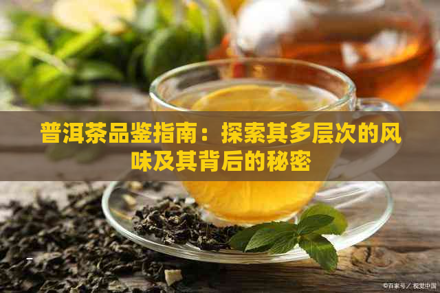 普洱茶品鉴指南：探索其多层次的风味及其背后的秘密