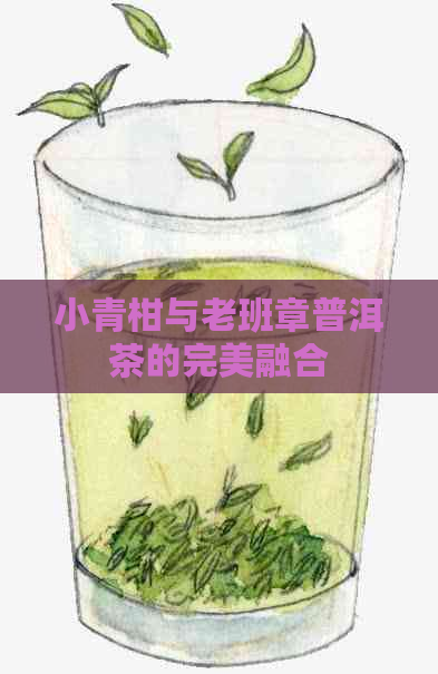 小青柑与老班章普洱茶的完美融合