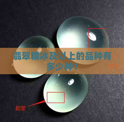 翡翠糯冰及以上的品种有多少种？