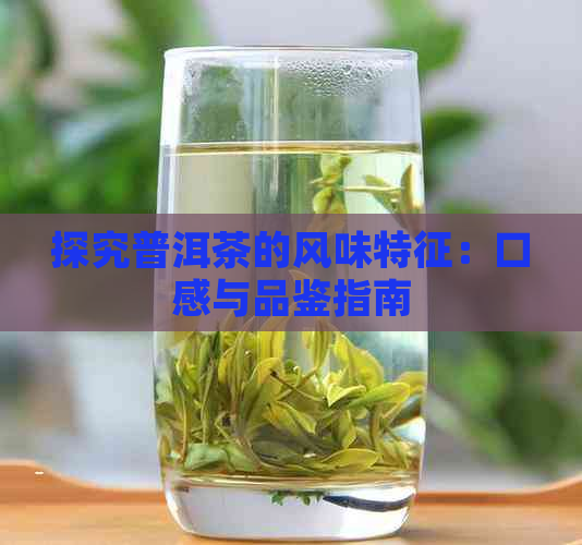 探究普洱茶的风味特征：口感与品鉴指南