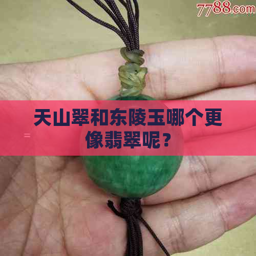 天山翠和东陵玉哪个更像翡翠呢？