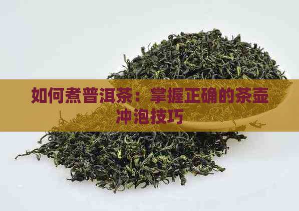 如何煮普洱茶：掌握正确的茶壶冲泡技巧